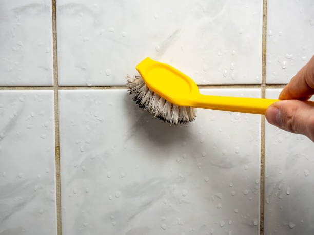 Best Fast Mold Removal  in Lake Shore, UT