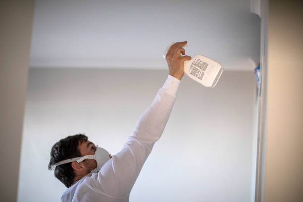 Professional Mold Removal in Lake Shore, UT